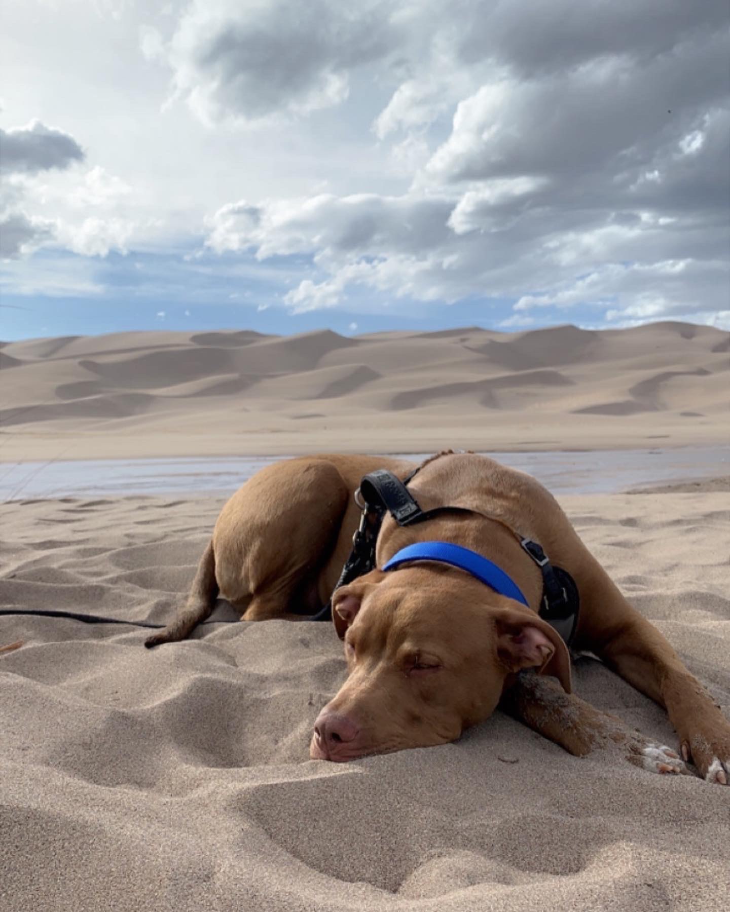 Hiro napping on the warm sand after playing in the water for hours.
