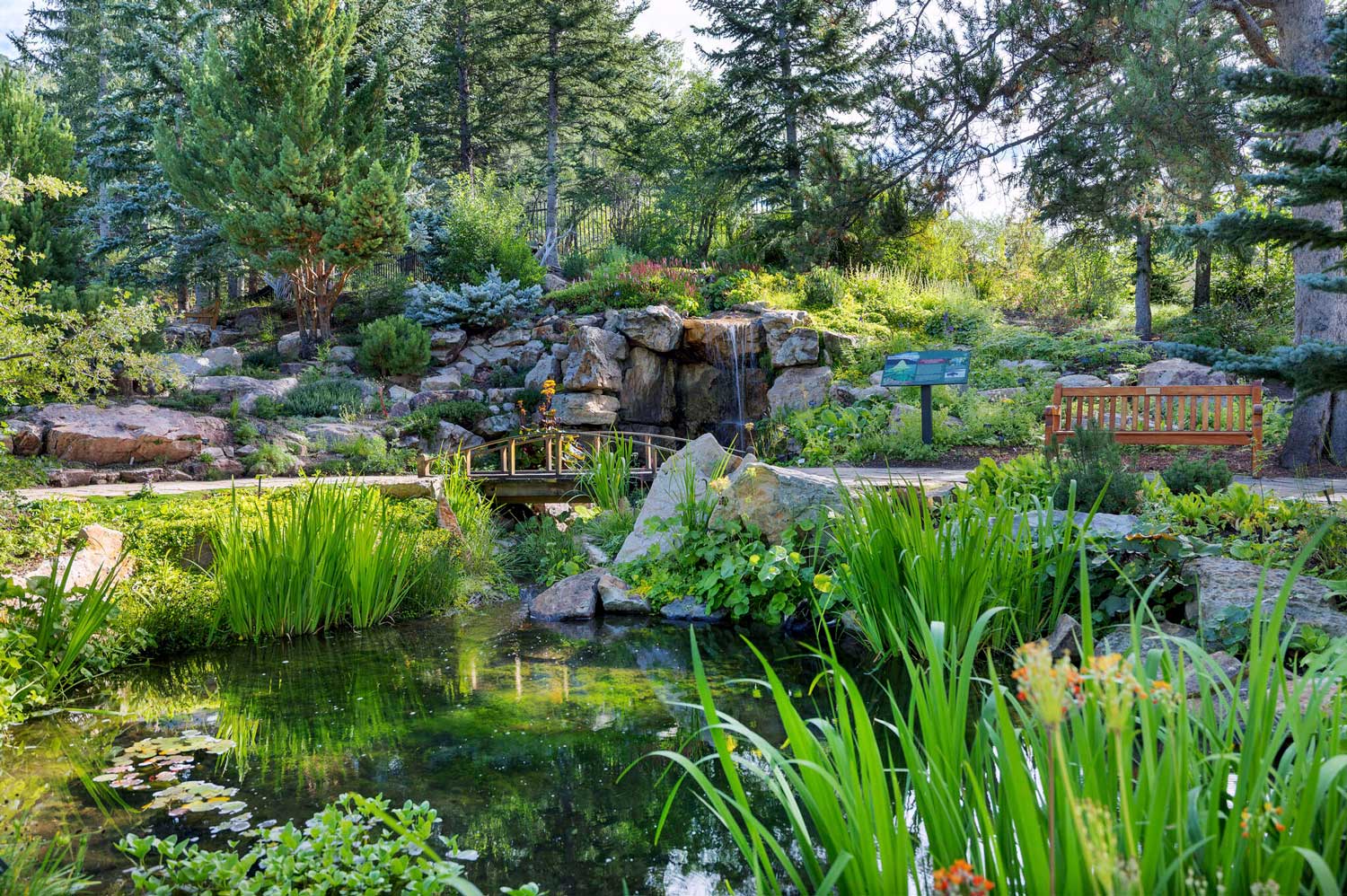short, leisurely waterfall trail in Vail, Colorado