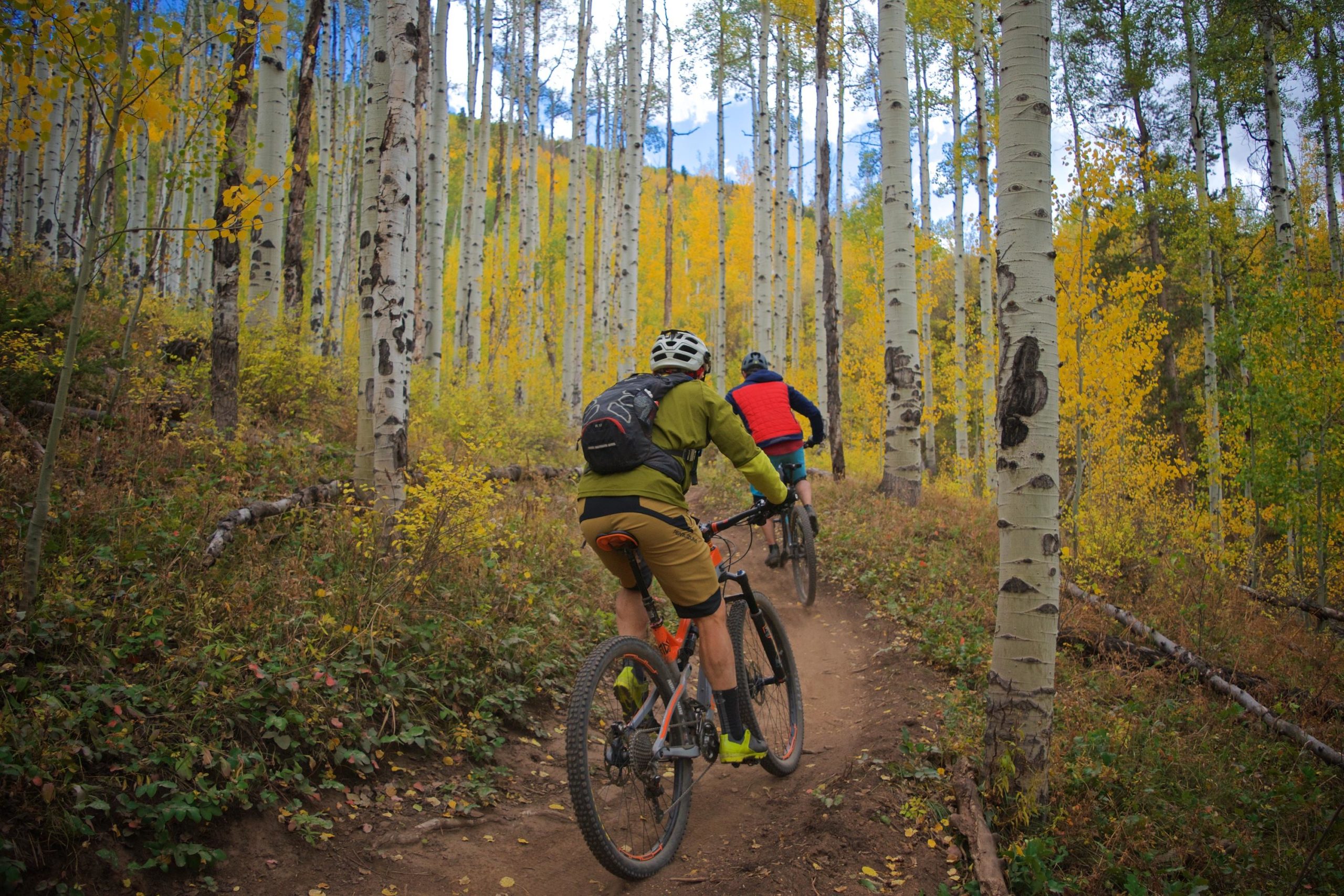 Bike Rentals & Tours