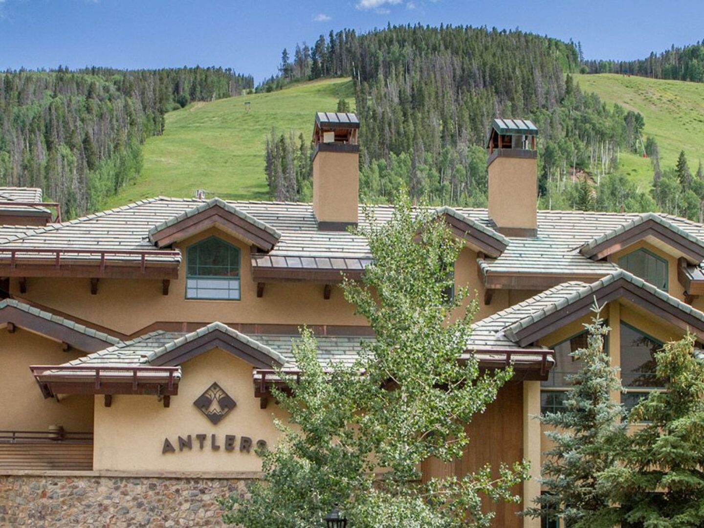 Vail Studio Suite Lodging in Vail Colorado Pet Friendly Rentals