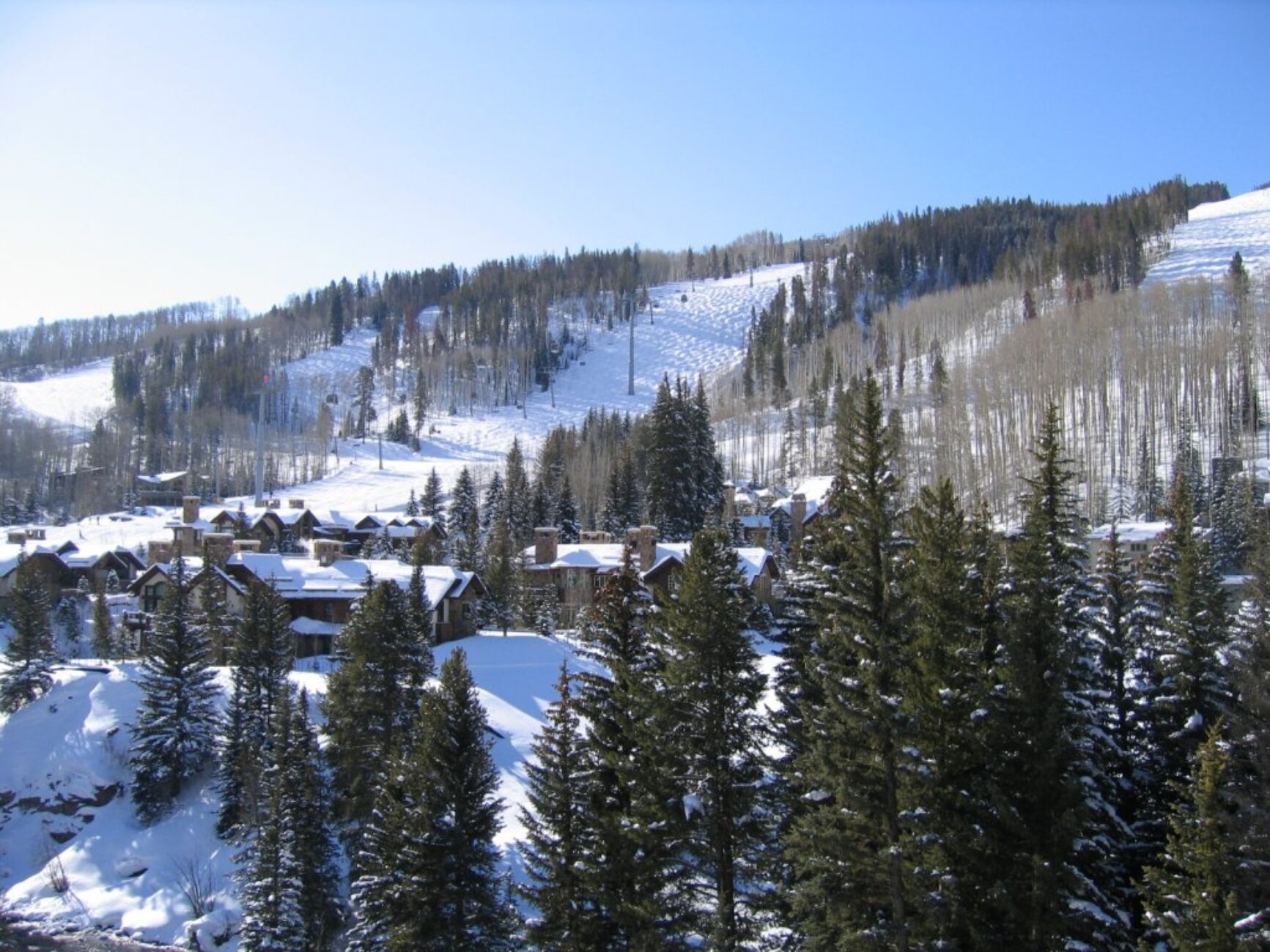 Vail Studio Suite Lodging in Vail Colorado Pet Friendly Rentals