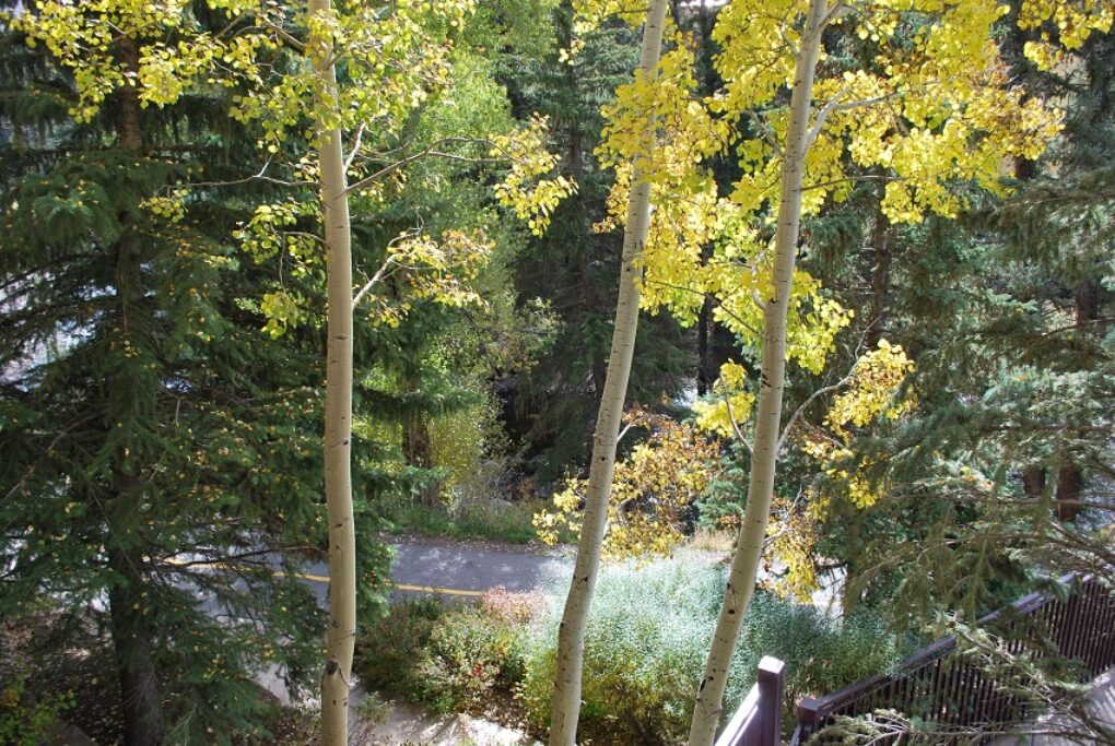 View of bikepath from balcony condo 209 Antlers at Vail