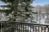 snow covered trees and pool from the balcony of antlers 212