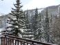 Snow covered trees and mountain from the balcony of Antlers at Vail condo 406
