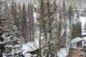 view from balcony in the winter, snowy trees and creek unit 408 Antlers at vail