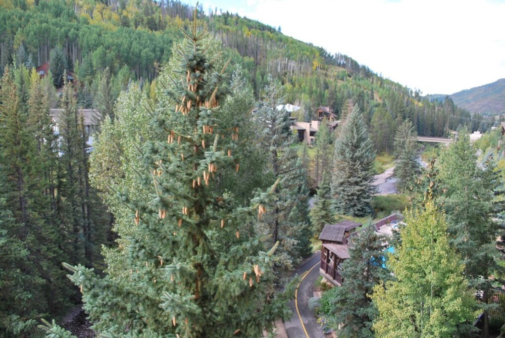 Image from balcony condo 505 Antlers at Vail, view of gore creek and vail mountain