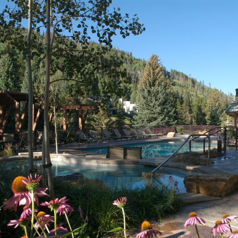 flowers surround the antlers pool in summer