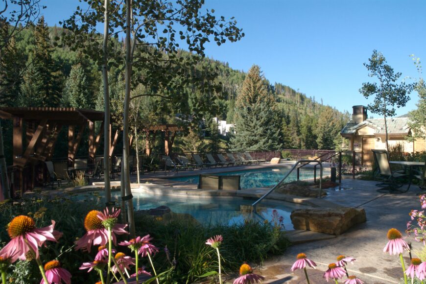 flowers surround the antlers pool in summer