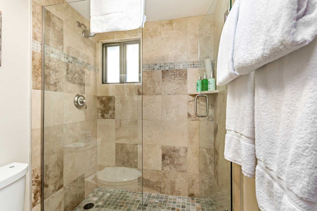 Shower of Antler at Vail condo 304