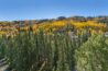 fall mountain view from antlers at vail condo 705