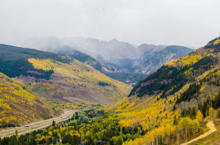 golden shades of aspen leaves throughout the vail valley in colorado during fall