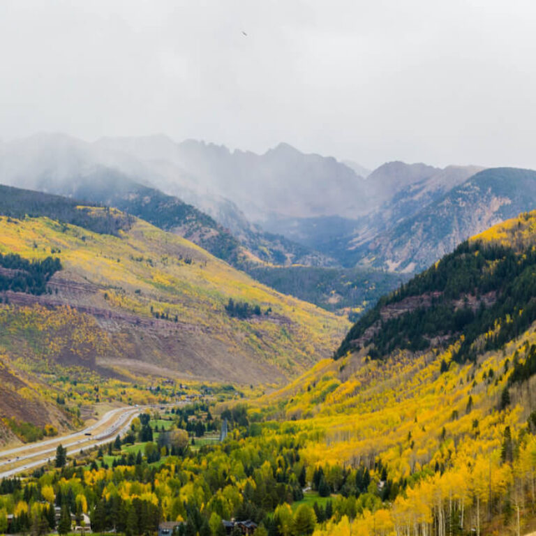 golden shades of aspen leaves throughout the vail valley in colorado during fall